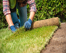 images/offer/landscaping-services.png